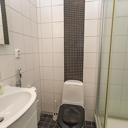 Levin Alppi 3 B 7 By Interhome * Levi