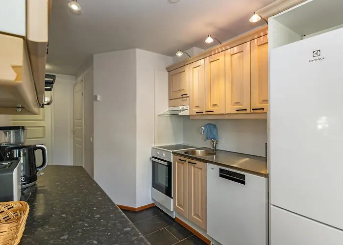 Levin Alppi 3 B 7 By Interhome Леви